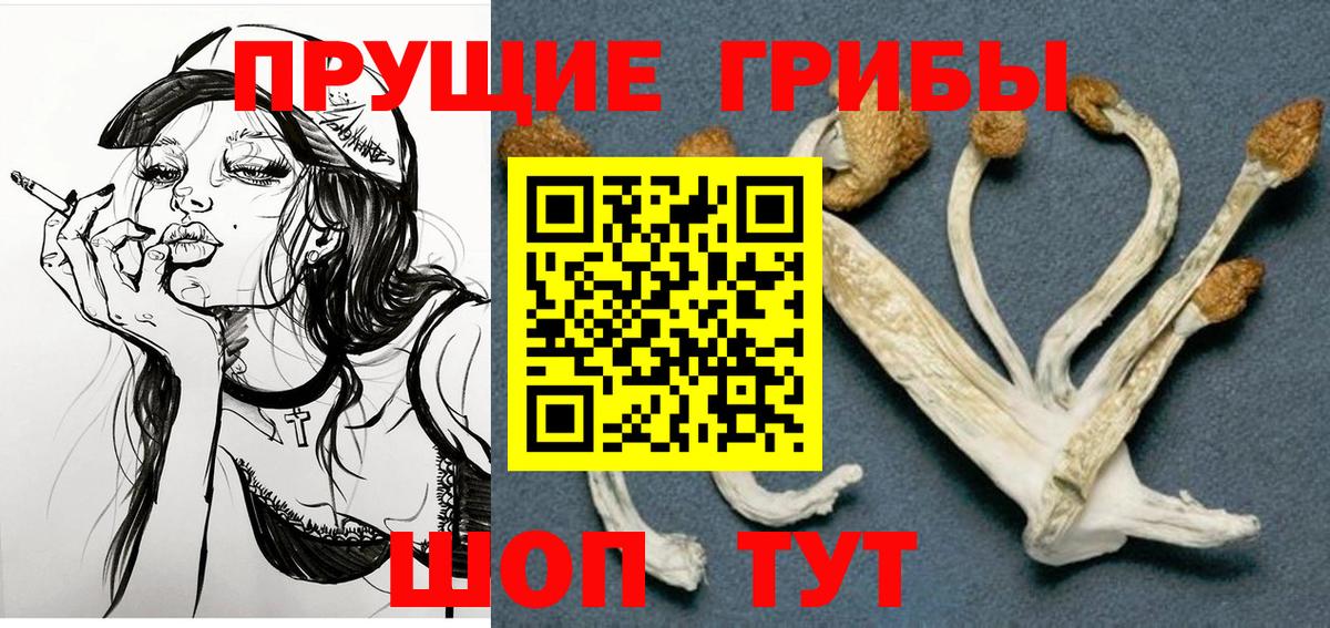 Галлюциногенные грибы Magic Shrooms Похвистнево