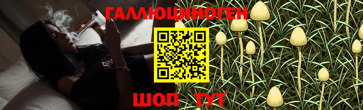 Похвистнево  где можно купить   Вход с VPN  Псилоцибиновые грибы GOLDEN TEACHER 